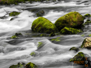 Fluss_003