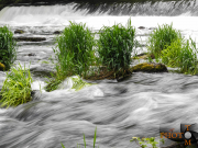 Fluss_010