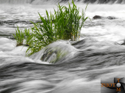 Fluss_011