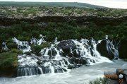 Island-324_Hraunfossar-002