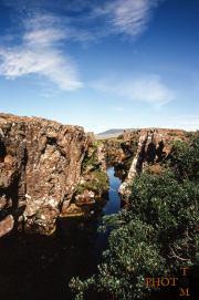 Island-388_Pingvellir-017