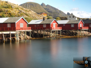 Norwegen-035_A-2013_08_20_10_23_32-NWAY0800
