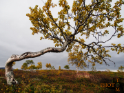 Norwegen-070_Kjoelifiell-2013_09_06_17_51_50-NWAY2558