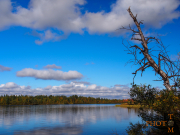 Schweden-063_Schwedisch_Lappland-2013_09_02_12_23_38-NWAY2292
