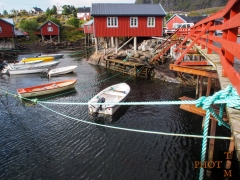Norwegen-035_A-2013_08_20_09_57_02-NWAY0790