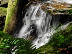 Wasserfall_019
