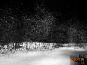 Winterlandschaft_001