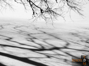 Winterlandschaft_002