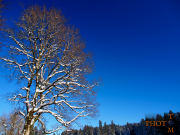 Winterlandschaft_017