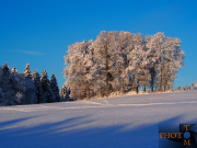 Winterlandschaft_022