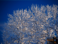 Winterlandschaft