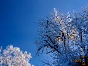 Winterlandschaft_025