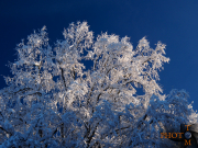 Winterlandschaft_026