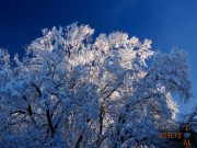 Winterlandschaft_027