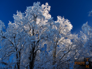 Winterlandschaft_029