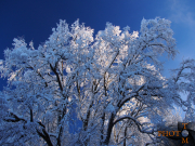 Winterlandschaft_032