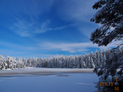 Winterlandschaft_035