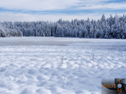 Winterlandschaft_036