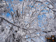 Winterlandschaft_037