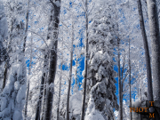 Winterlandschaft_041