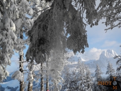 Winterlandschaft_004