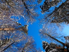 Winterlandschaft_015