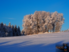 Winterlandschaft_022