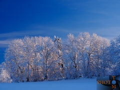 Winterlandschaft_023