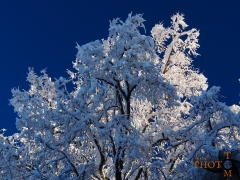 Winterlandschaft_028