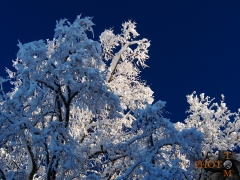 Winterlandschaft_030