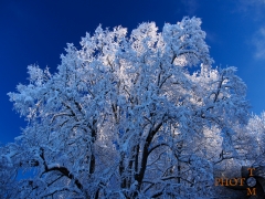 Winterlandschaft_033