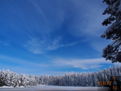 Winterlandschaft_034