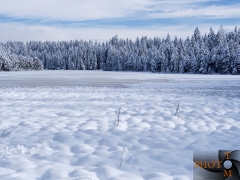 Winterlandschaft_036