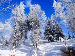 Winterlandschaft_045